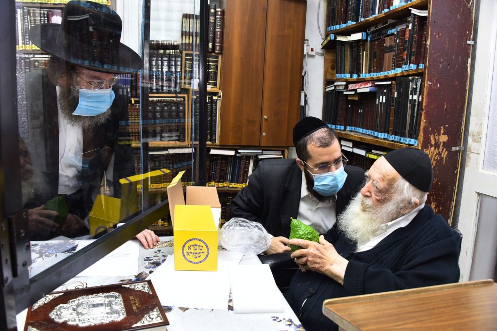 גלריה: שר התורה הגר"ח קנייבסקי בבדיקת ד' מינים