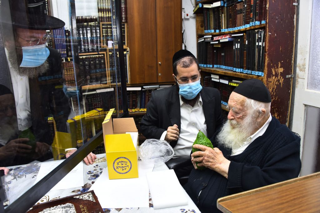 גלריה: שר התורה הגר"ח קנייבסקי בבדיקת ד' מינים
