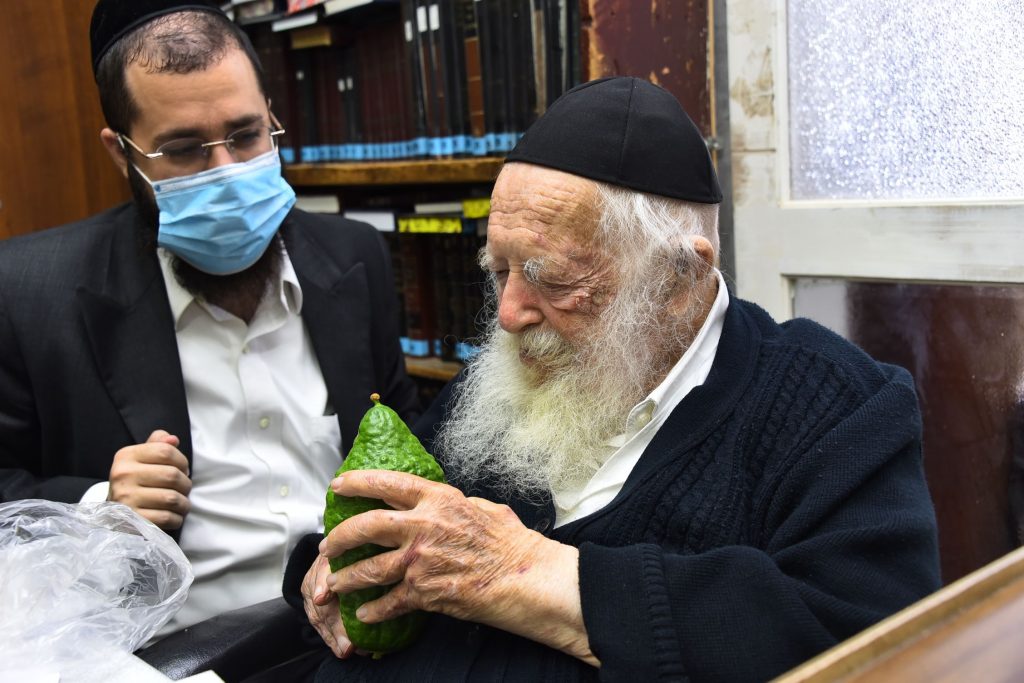 גלריה: שר התורה הגר"ח קנייבסקי בבדיקת ד' מינים