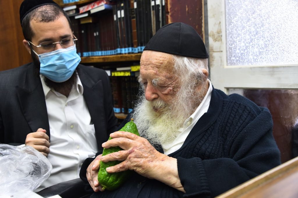 גלריה: שר התורה הגר"ח קנייבסקי בבדיקת ד' מינים