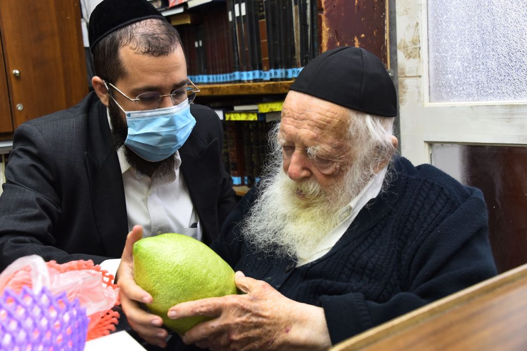 גלריה: שר התורה הגר"ח קנייבסקי בבדיקת ד' מינים