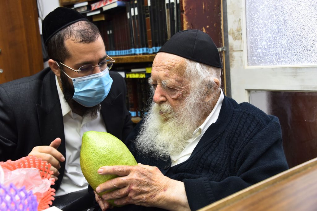גלריה: שר התורה הגר"ח קנייבסקי בבדיקת ד' מינים