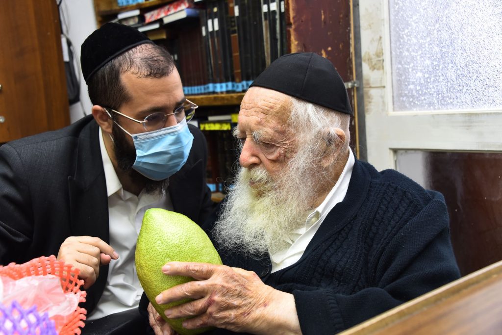גלריה: שר התורה הגר"ח קנייבסקי בבדיקת ד' מינים