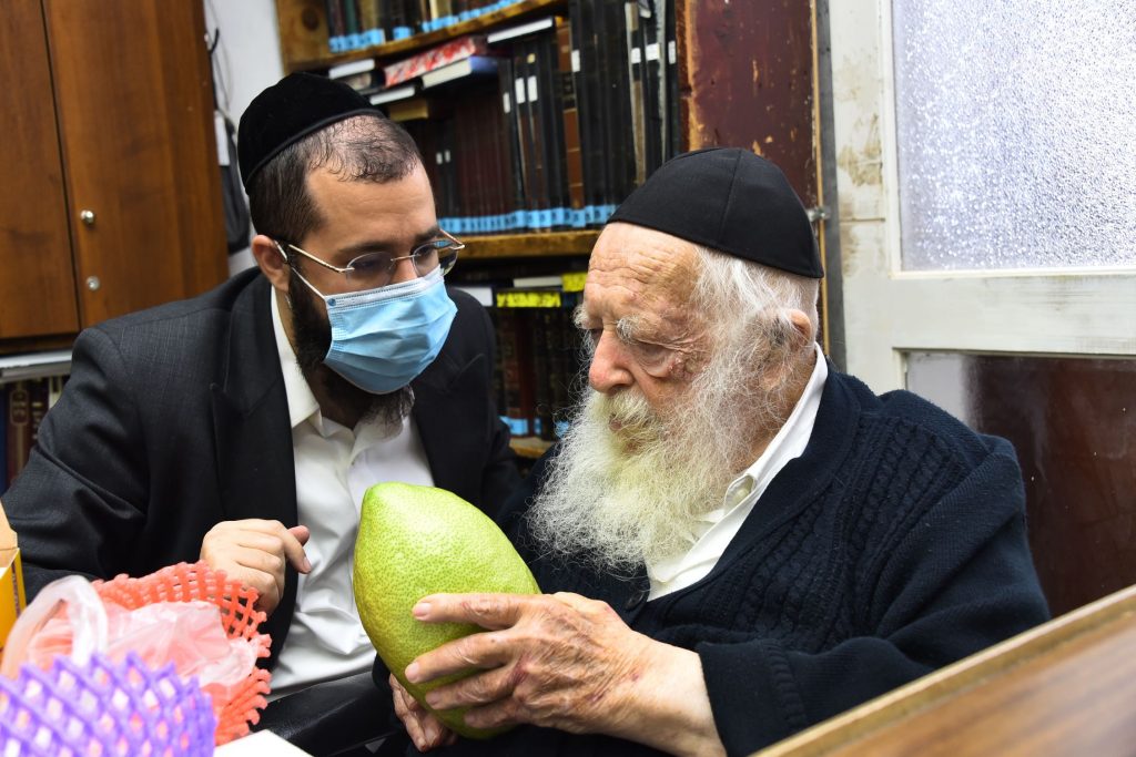גלריה: שר התורה הגר"ח קנייבסקי בבדיקת ד' מינים