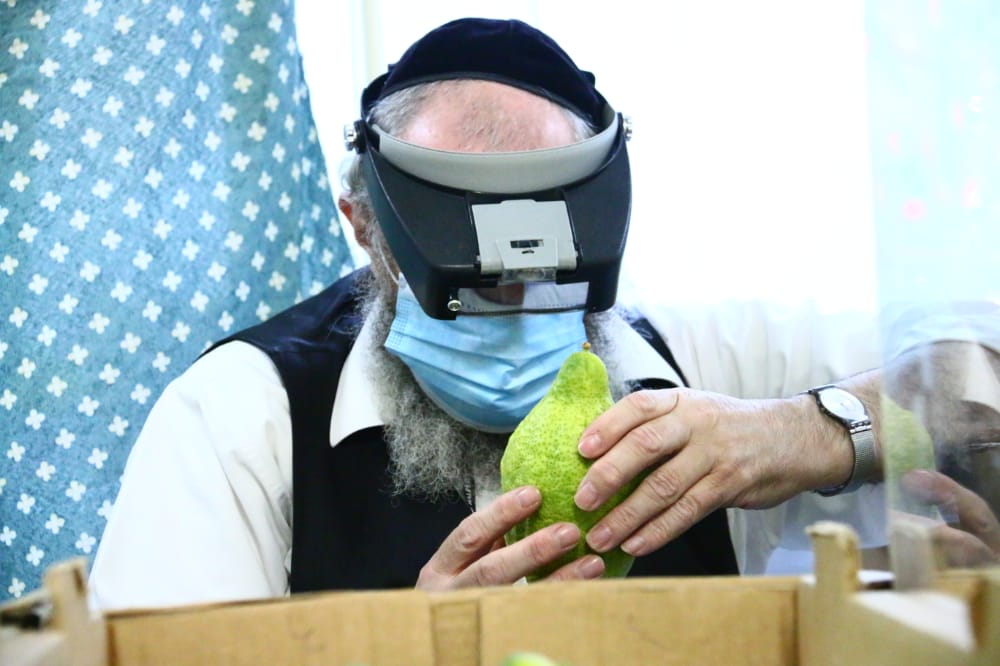 בצל הסגר: תיעוד מאווירת החג בשכונת מאה שערים