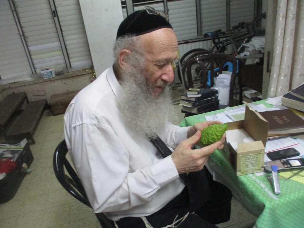 הפוסק הגרי"א דינר בהכנה לחג הסוכות