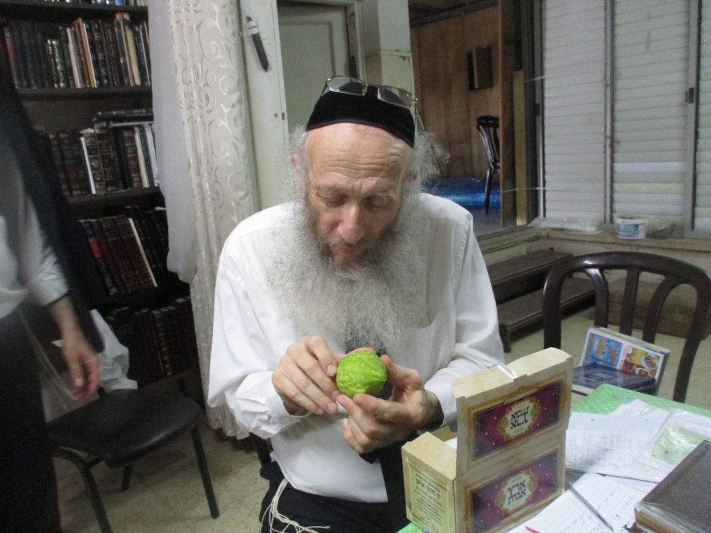 הפוסק הגרי"א דינר בהכנה לחג הסוכות