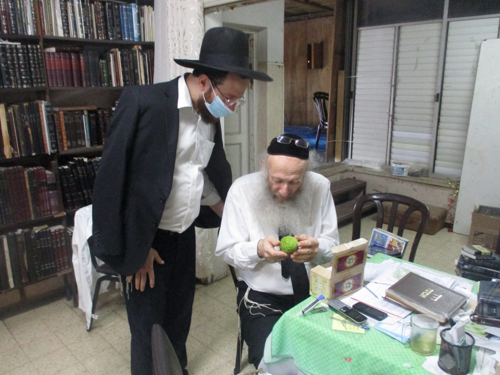 הפוסק הגרי"א דינר בהכנה לחג הסוכות