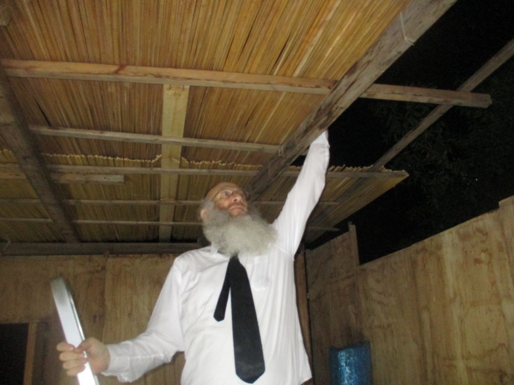 הפוסק הגרי"א דינר בהכנה לחג הסוכות