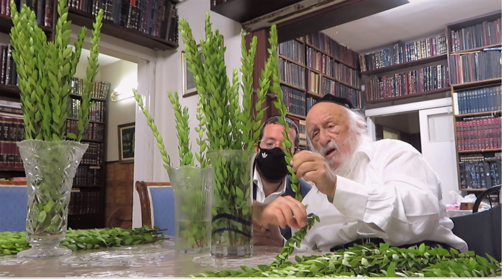 עֲלֵי הֲדַס וַעֲלֵי תְמָרִים: ראש הישיבה הגרב"ד בבחירת הדסים