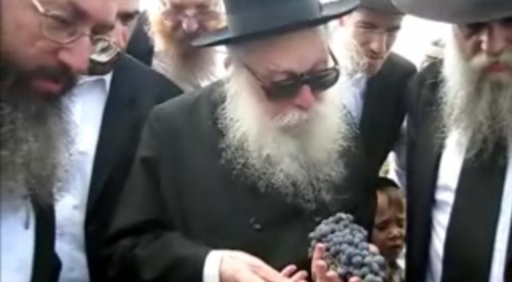 צאצאי האנוסים במיורקה שבספרד - שבים ליהדותם