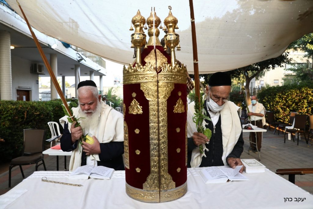 הגר"מ מאיה נטל לולב במרחב הפתוח • תיעוד