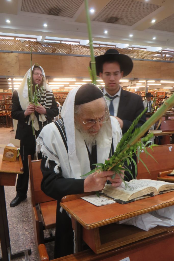 גלריה מיוחדת: גדולי הדור זצוק"ל בנטילת לולב