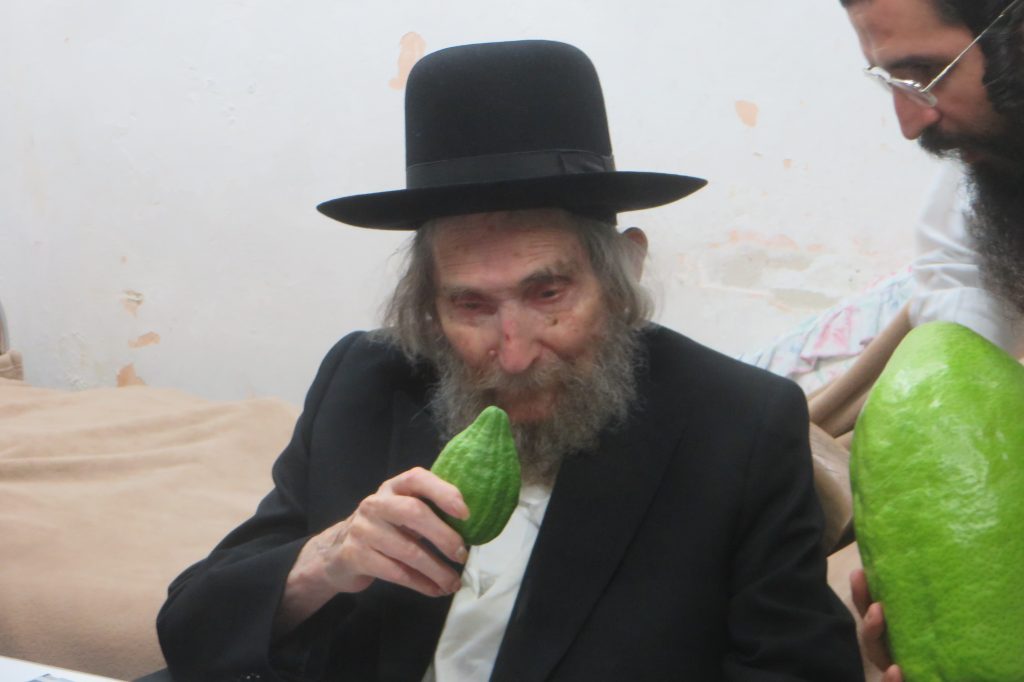 גלריה מיוחדת: גדולי הדור זצוק"ל בנטילת לולב