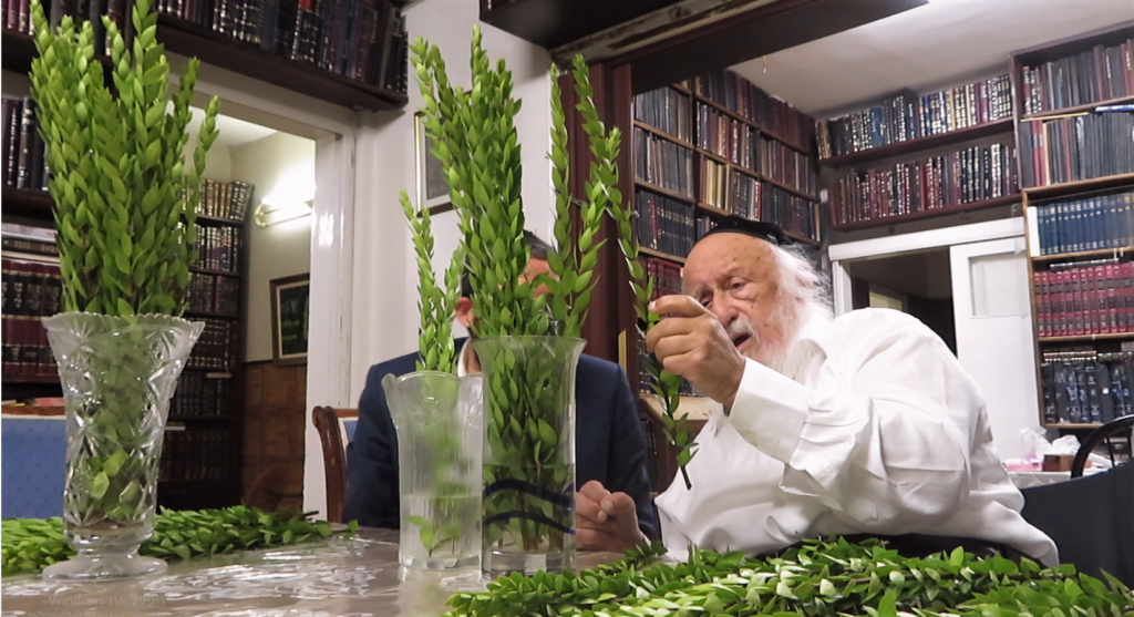 עֲלֵי הֲדַס וַעֲלֵי תְמָרִים: ראש הישיבה הגרב"ד בבחירת הדסים