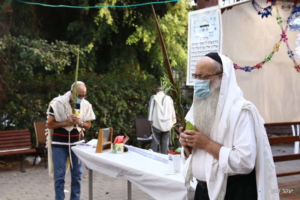 הגר"מ מאיה נטל לולב במרחב הפתוח • תיעוד