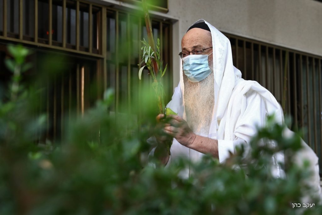 הגר"מ מאיה נטל לולב במרחב הפתוח • תיעוד