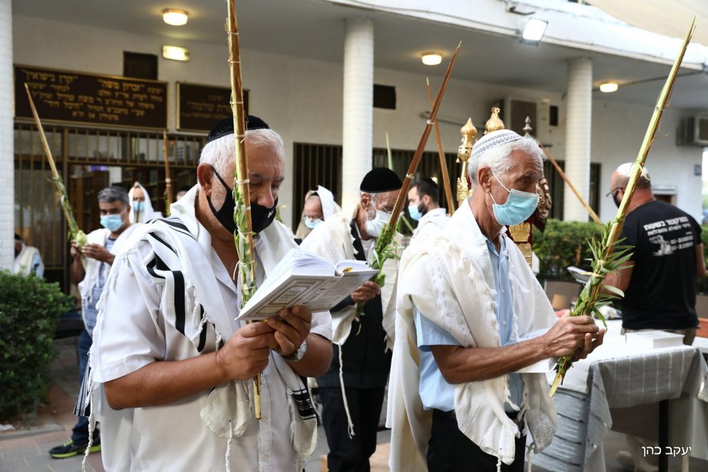 הגר"מ מאיה נטל לולב במרחב הפתוח • תיעוד