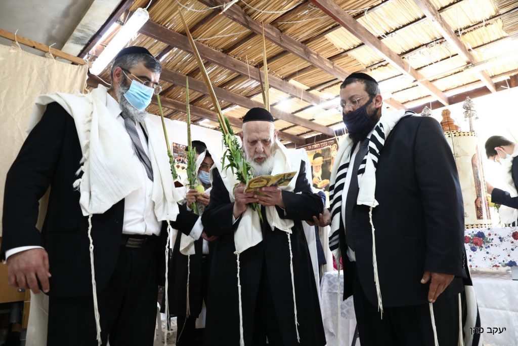 הַשָׂם בָּנוּ מַעֲלוֹת כּהֲנִים הוֹשַׁעֲנָא • חכם שלום בנענועים