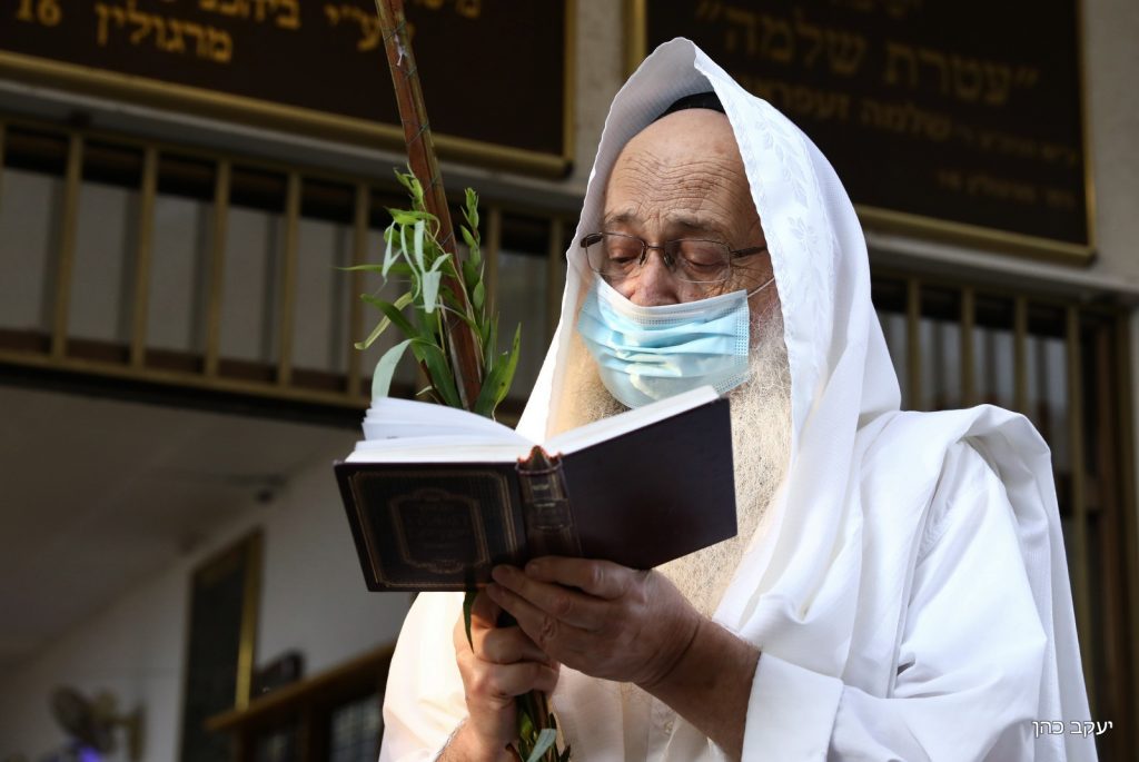 הגר"מ מאיה נטל לולב במרחב הפתוח • תיעוד