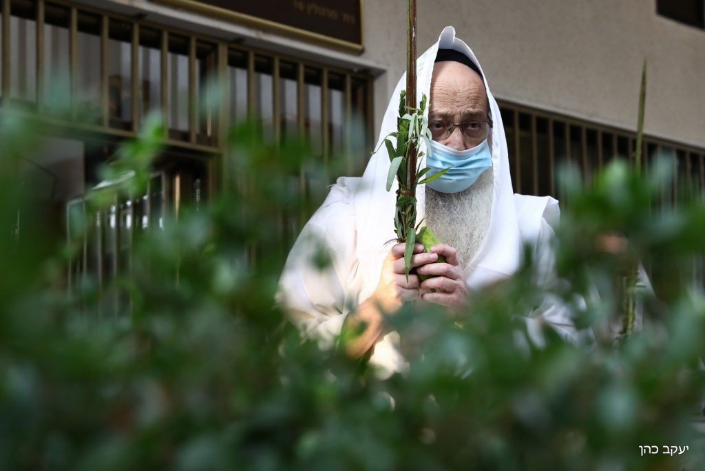 הגר"מ מאיה נטל לולב במרחב הפתוח • תיעוד