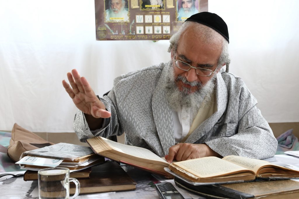 גלריה: הגר"י ראצבי בנטילת לולב גלריה: הגר"י ראצבי בנטילת לולב