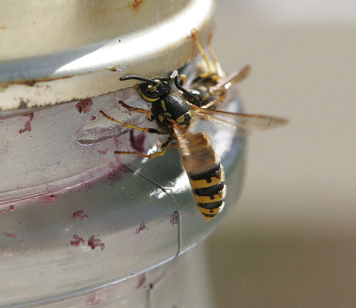 קבצנית רחוב שבבעלותה 5 בניינים ו-3 מיליון • הכותרות מהעולם