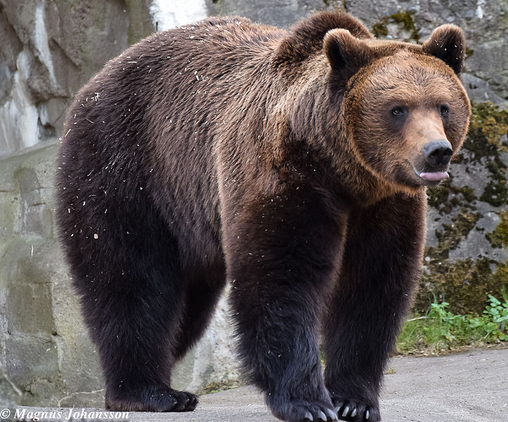 קבצנית רחוב שבבעלותה 5 בניינים ו-3 מיליון • הכותרות מהעולם
