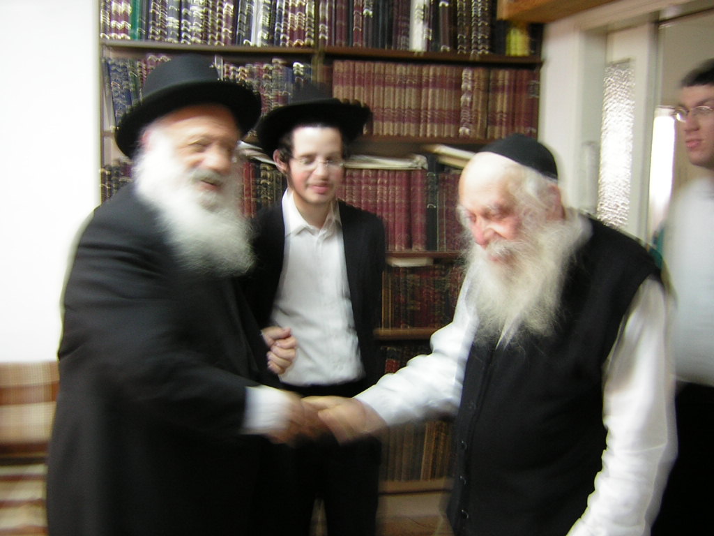 שנה להסתלקותו: מראות חייו של פוסק הדור הגר"נ קרליץ זצוק״ל