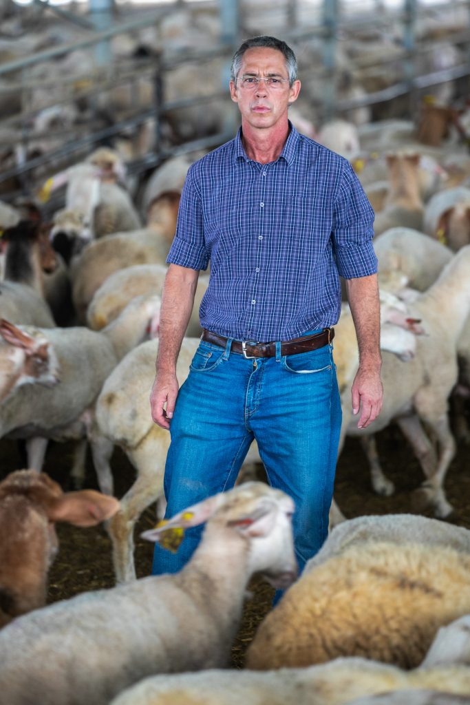 ישראל קיבלה היתר מיפן לייצא אליה אבוקדו • מבזקי הכלכלה ב'המחדש'