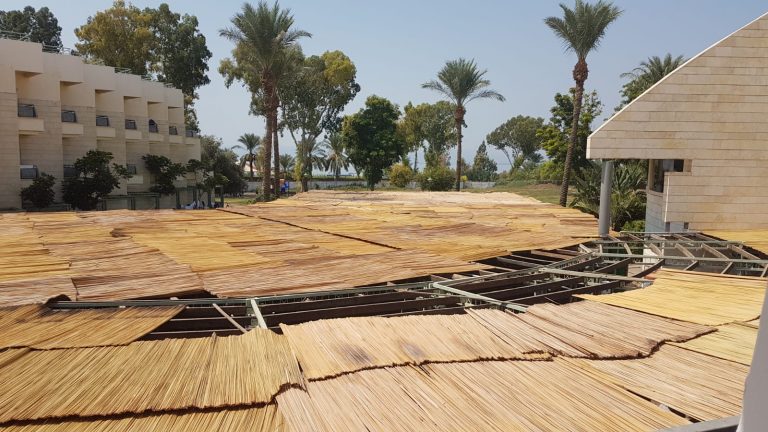 עלייה בביקוש למלוניות מצד המבקשים לקיים את החג כהלכתו