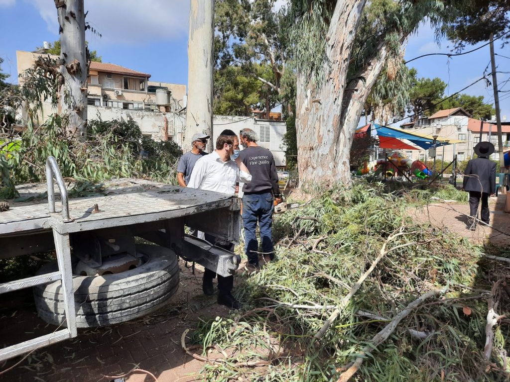 תיעוד: הרל"ש קוטף את הסכך של ראש הישיבה הגר"ג אדלשטיין תיעוד: הרל"ש קוטף את הסכך של ראש הישיבה הגר"ג אדלשטיין