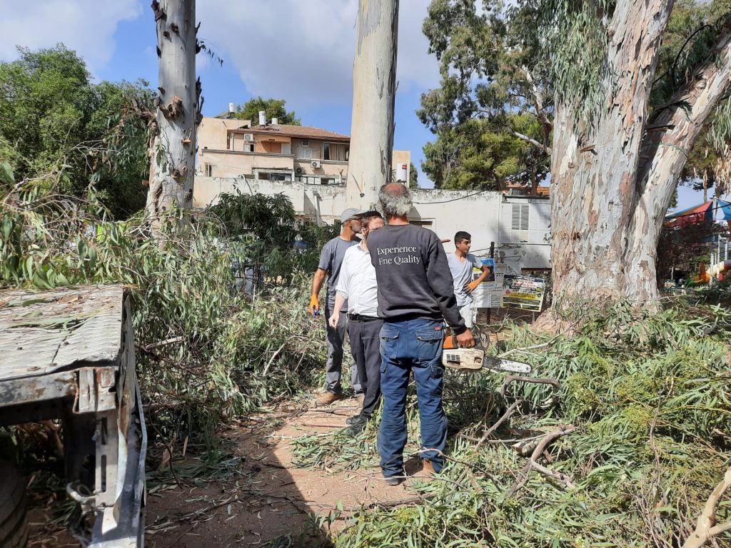 תיעוד: הרל"ש קוטף את הסכך של ראש הישיבה הגר"ג אדלשטיין תיעוד: הרל"ש קוטף את הסכך של ראש הישיבה הגר"ג אדלשטיין
