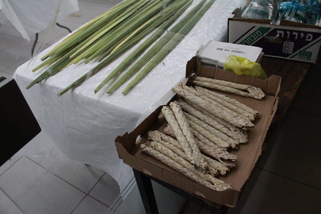 זמן שמחתינו • גלריה חגיגית מבני ברק זמן שמחתינו • גלריה חגיגית מבני ברק