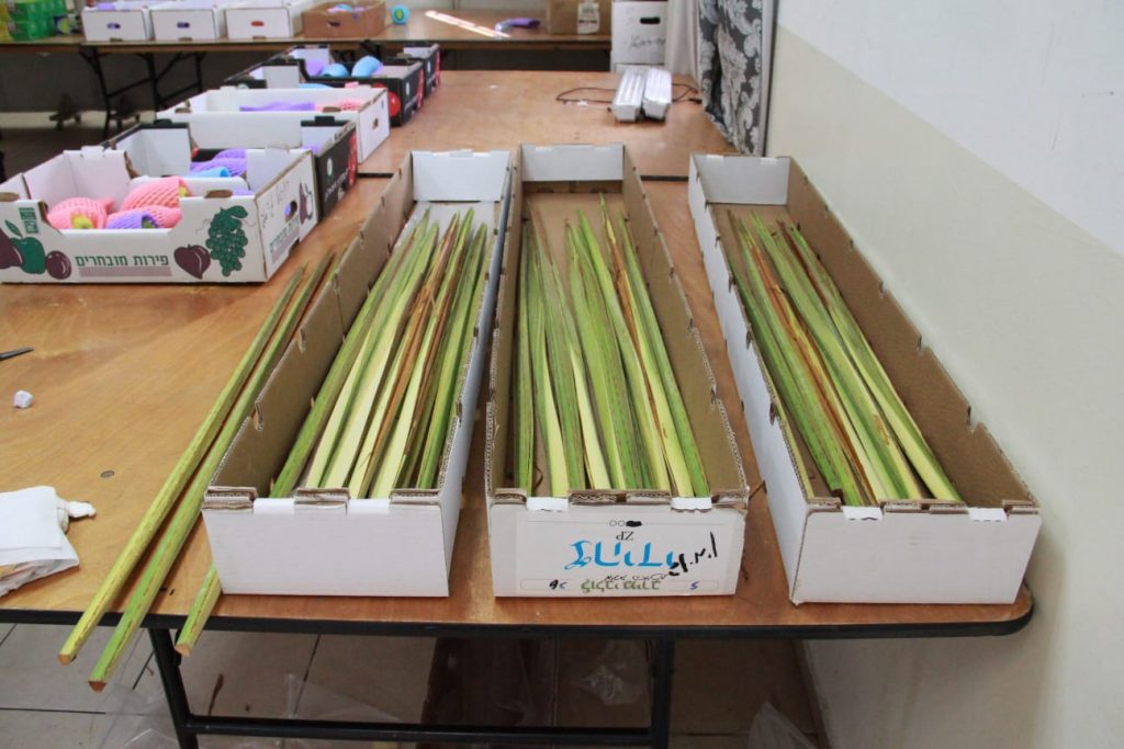 זמן שמחתינו • גלריה חגיגית מבני ברק זמן שמחתינו • גלריה חגיגית מבני ברק