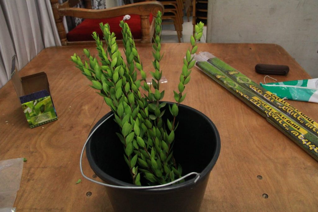 זמן שמחתינו • גלריה חגיגית מבני ברק זמן שמחתינו • גלריה חגיגית מבני ברק