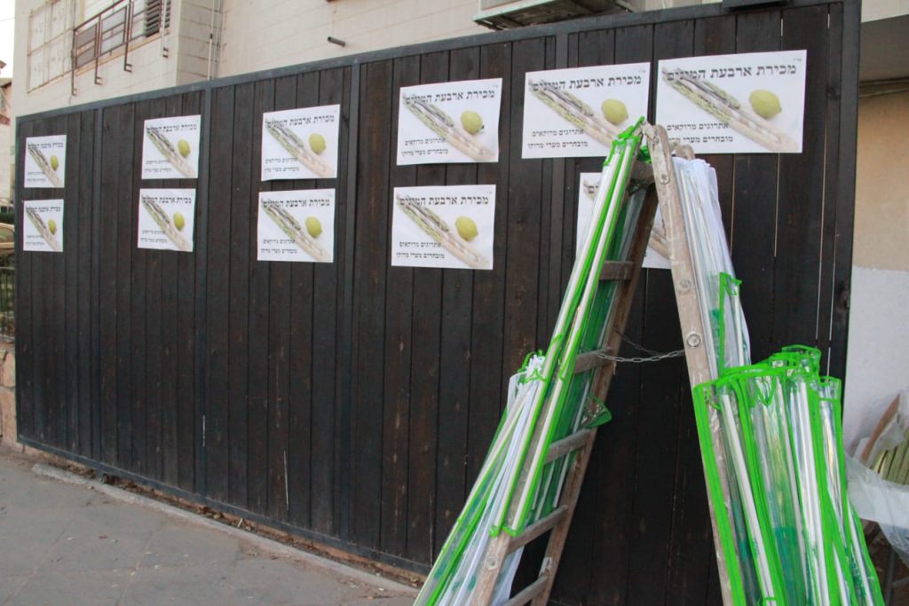 זמן שמחתינו • גלריה חגיגית מבני ברק זמן שמחתינו • גלריה חגיגית מבני ברק