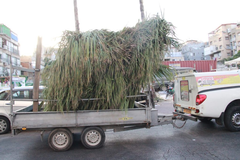 זמן שמחתינו • גלריה חגיגית מבני ברק זמן שמחתינו • גלריה חגיגית מבני ברק