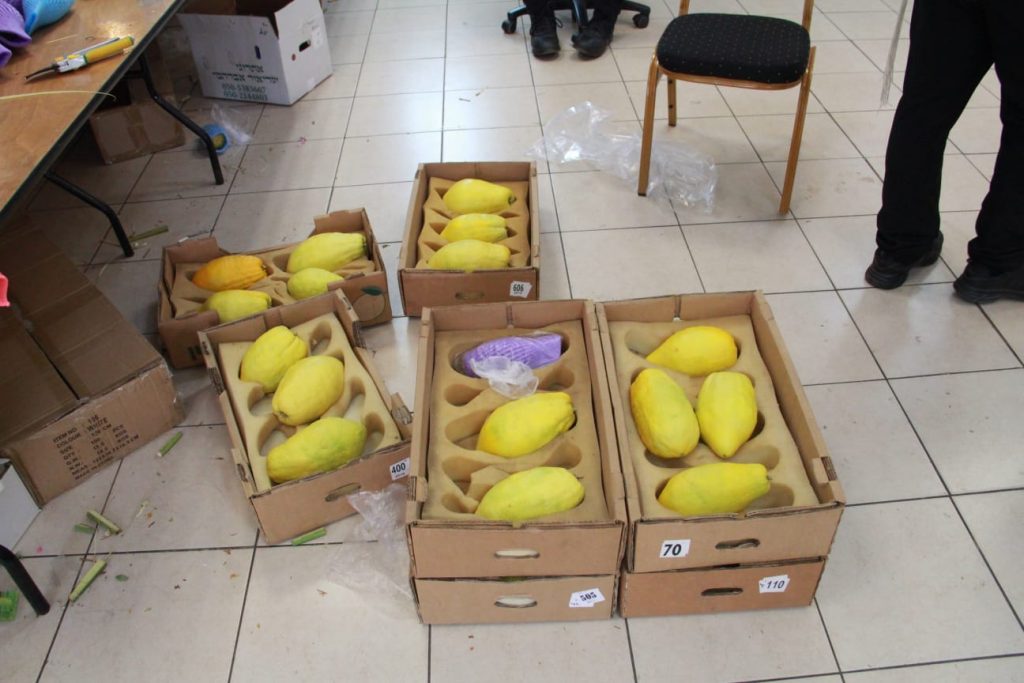 זמן שמחתינו • גלריה חגיגית מבני ברק זמן שמחתינו • גלריה חגיגית מבני ברק