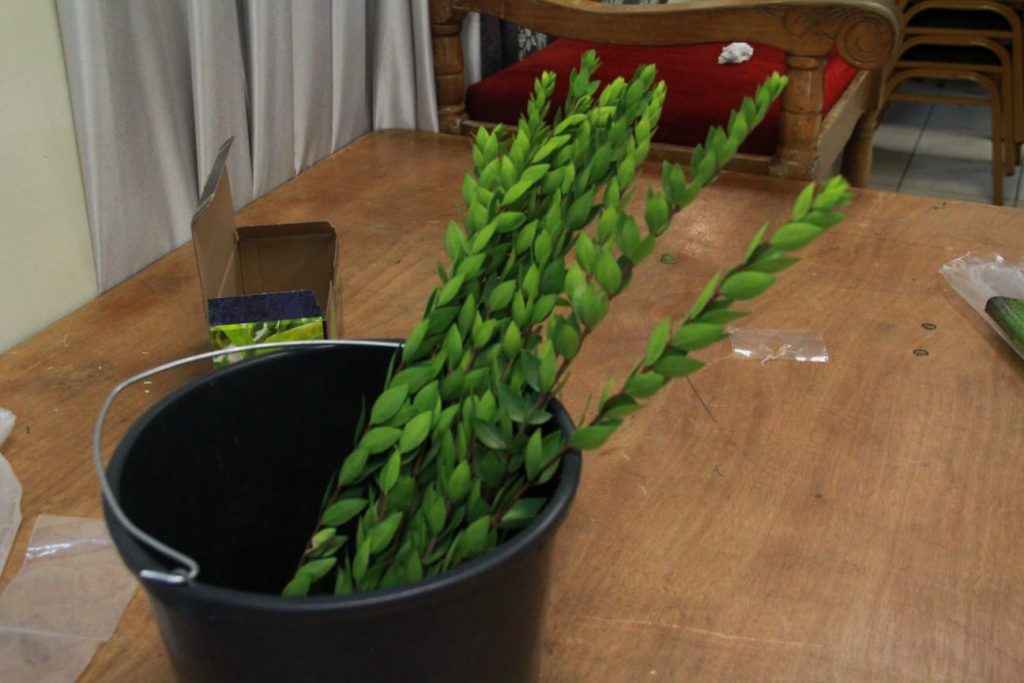 זמן שמחתינו • גלריה חגיגית מבני ברק זמן שמחתינו • גלריה חגיגית מבני ברק