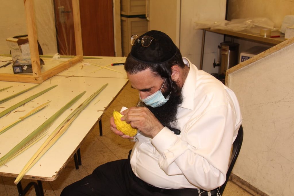 אווירת החג במודיעין עילית בעדשת המצלמה