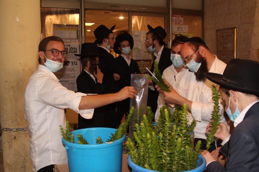 אווירת החג במודיעין עילית בעדשת המצלמה