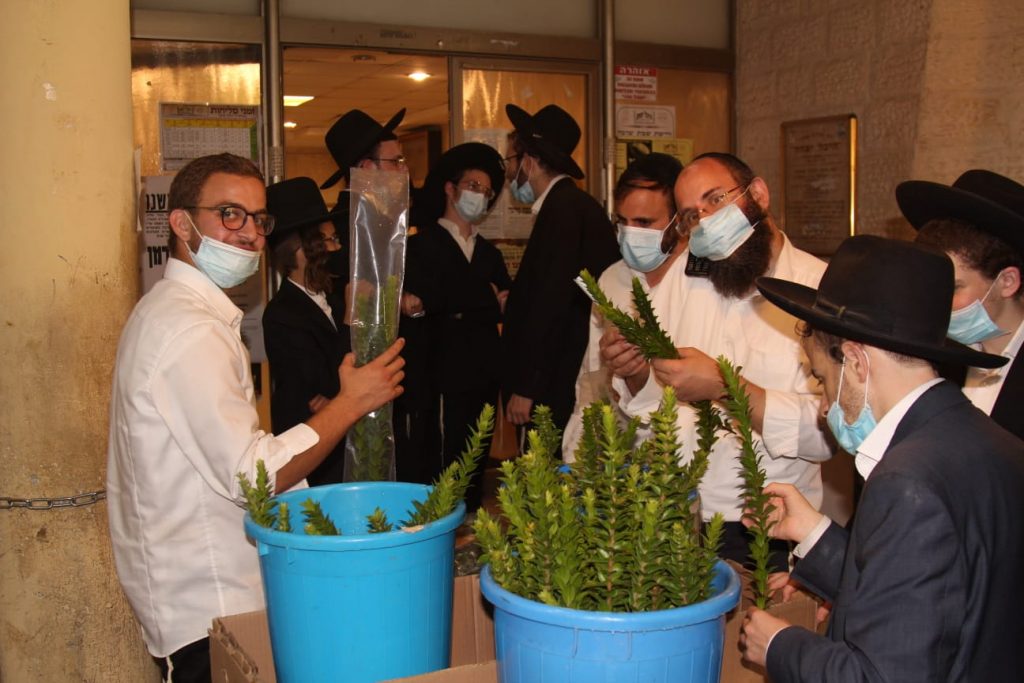 אווירת החג במודיעין עילית בעדשת המצלמה