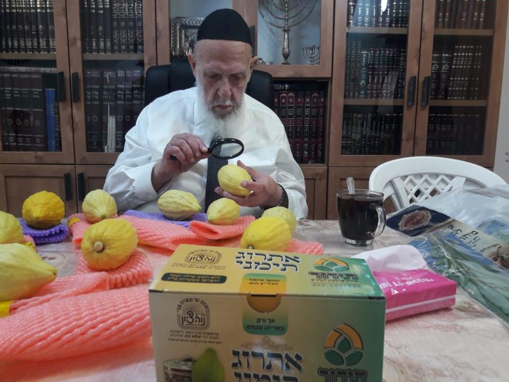 תיעוד: נשיא המועצת בודק את ארבעת המינים לחג