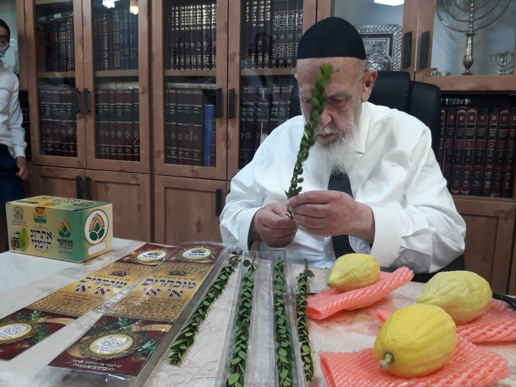 תיעוד: נשיא המועצת בודק את ארבעת המינים לחג