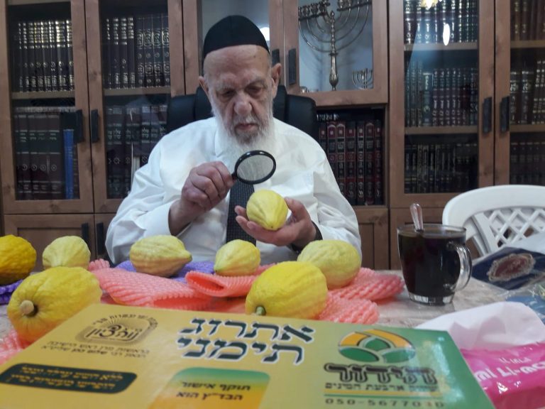 תיעוד: נשיא המועצת בודק את ארבעת המינים לחג