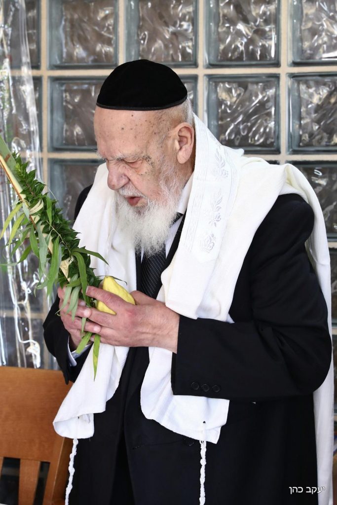 הַשָׂם בָּנוּ מַעֲלוֹת כּהֲנִים הוֹשַׁעֲנָא • חכם שלום בנענועים