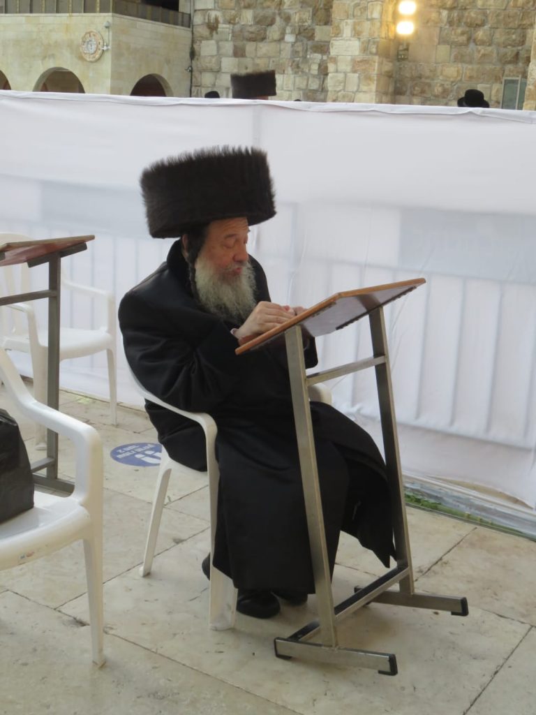 הרבי מזוויעהל בנטילת לולב בכותל המערבי • גלריה