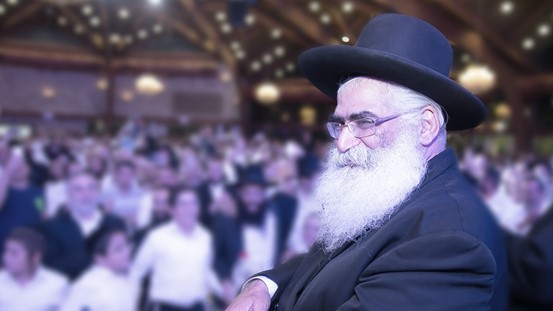 הילולת הגר"י אברג'ל: הערכות ליום שידורים מיוחד הילולת הגר"י אברג'ל: הערכות ליום שידורים מיוחד