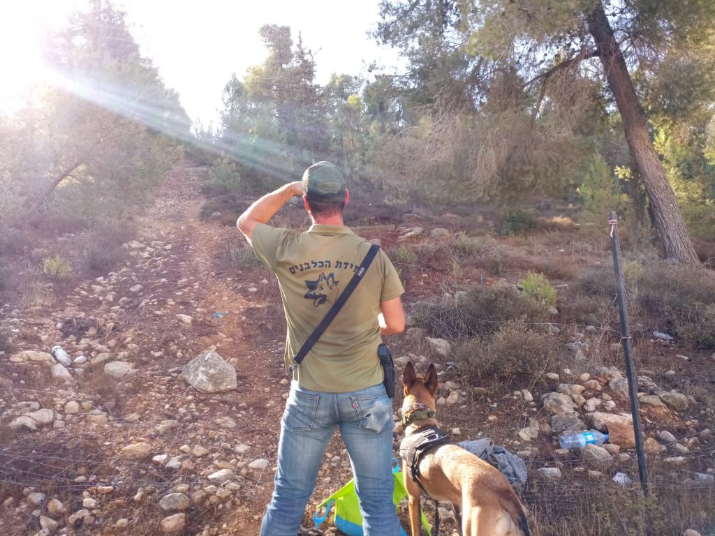 נעדרת בירושלים: יחידת הכלבנים פעלה עד למציאת הגופה ל"ע • צפו נעדרת בירושלים: יחידת הכלבנים פעלה עד למציאת הגופה ל"ע • צפו